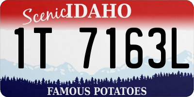 ID license plate 1T7163L