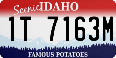 ID license plate 1T7163M