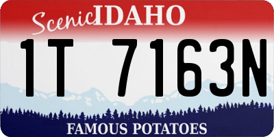 ID license plate 1T7163N