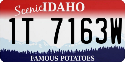 ID license plate 1T7163W