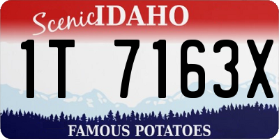 ID license plate 1T7163X