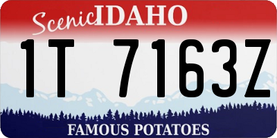 ID license plate 1T7163Z