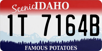 ID license plate 1T7164B