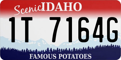 ID license plate 1T7164G