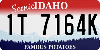 ID license plate 1T7164K