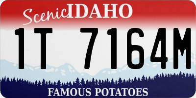 ID license plate 1T7164M