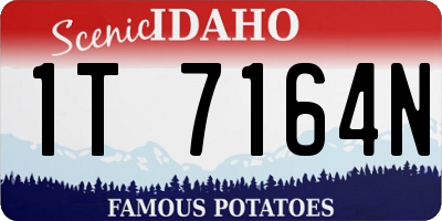 ID license plate 1T7164N