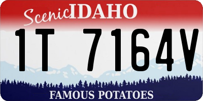 ID license plate 1T7164V
