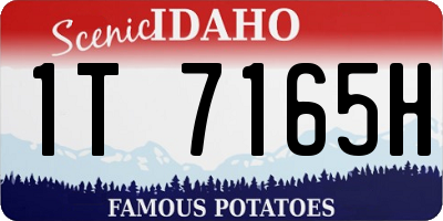 ID license plate 1T7165H