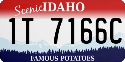 ID license plate 1T7166C
