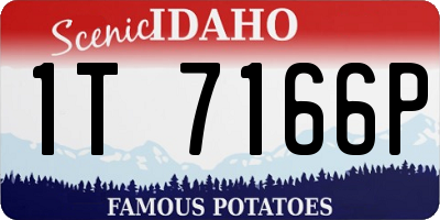 ID license plate 1T7166P