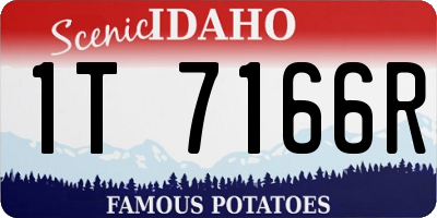 ID license plate 1T7166R