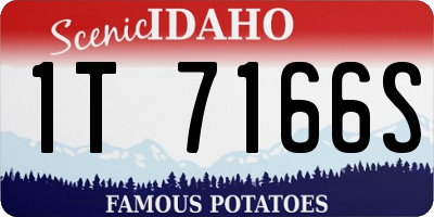 ID license plate 1T7166S