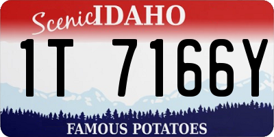 ID license plate 1T7166Y