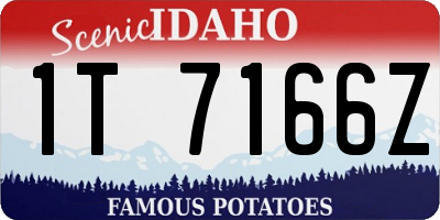 ID license plate 1T7166Z