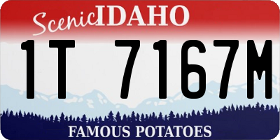 ID license plate 1T7167M