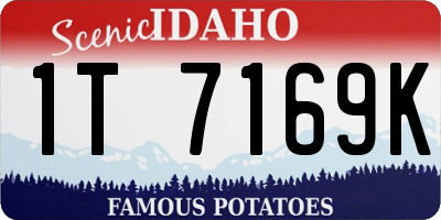 ID license plate 1T7169K