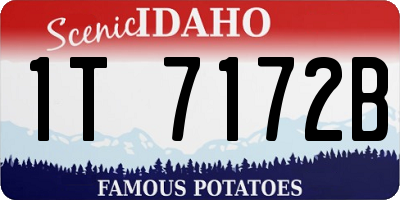ID license plate 1T7172B