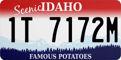 ID license plate 1T7172M