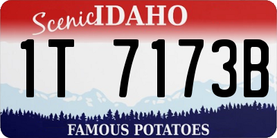 ID license plate 1T7173B