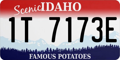 ID license plate 1T7173E