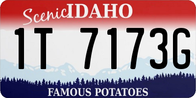 ID license plate 1T7173G