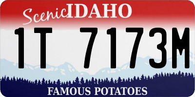 ID license plate 1T7173M
