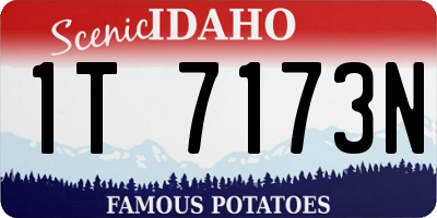 ID license plate 1T7173N