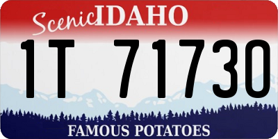 ID license plate 1T7173O