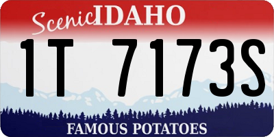 ID license plate 1T7173S