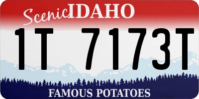 ID license plate 1T7173T