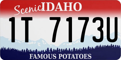 ID license plate 1T7173U