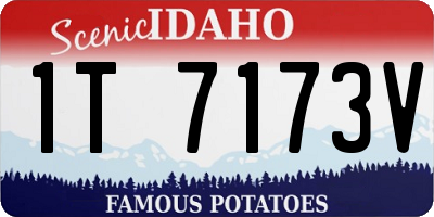 ID license plate 1T7173V