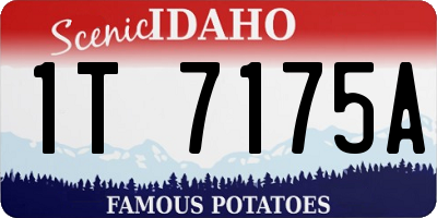 ID license plate 1T7175A