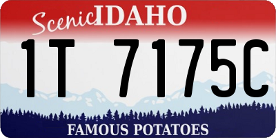 ID license plate 1T7175C