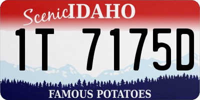 ID license plate 1T7175D