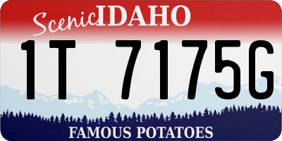 ID license plate 1T7175G
