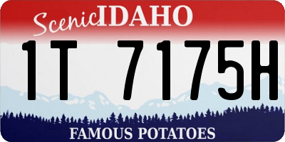 ID license plate 1T7175H