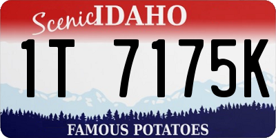 ID license plate 1T7175K