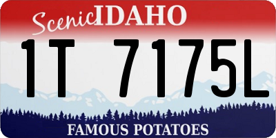 ID license plate 1T7175L