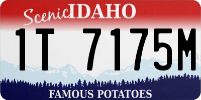 ID license plate 1T7175M