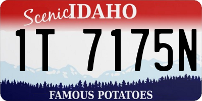 ID license plate 1T7175N