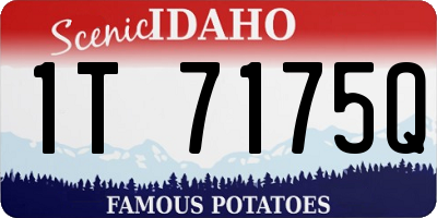ID license plate 1T7175Q