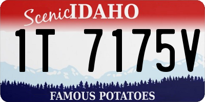 ID license plate 1T7175V