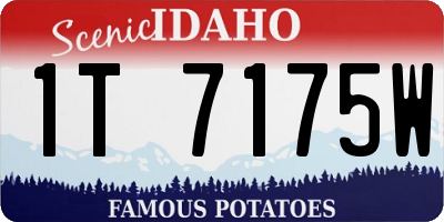 ID license plate 1T7175W
