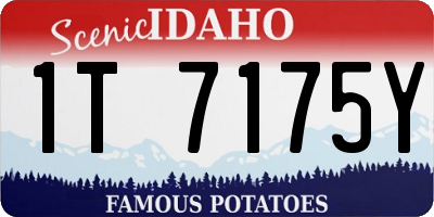 ID license plate 1T7175Y