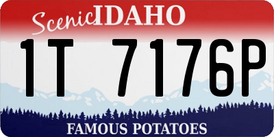 ID license plate 1T7176P