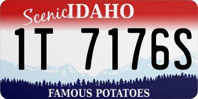 ID license plate 1T7176S