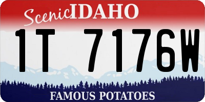 ID license plate 1T7176W