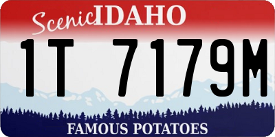 ID license plate 1T7179M